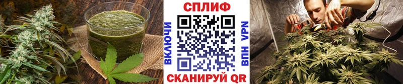 Cannafood конопля  Орёл 