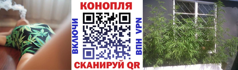 купить наркотик  Орёл  Шишки марихуана семена 